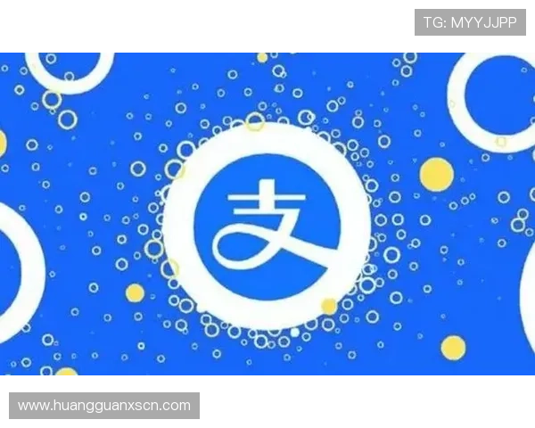 新2最新网站支付方式更新，支持多种便捷安全的支付渠道