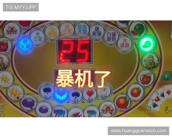 深入了解老虎角子机的历史发展与未来创新趋势